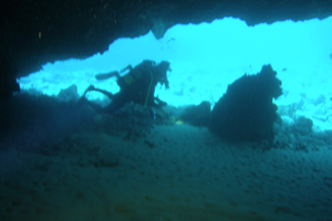 Lanzarote Dive Site Mala