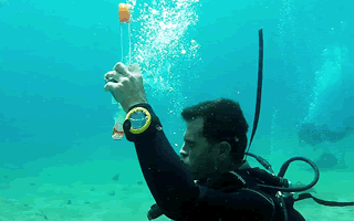 PADi Open Water Diver