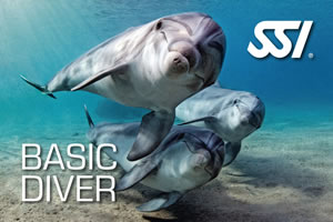 SSI Basic Diver  with Lanzarote Dive Centre