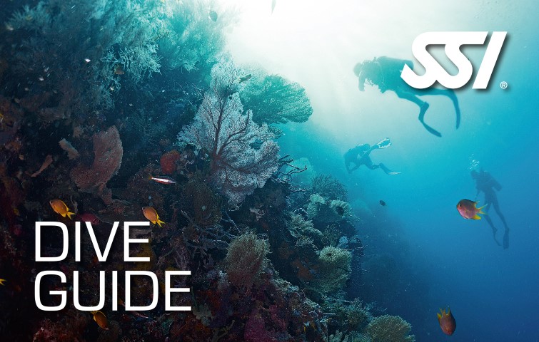 SSI Dive Guide with Lanzarote Dive Centre 