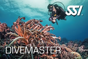 SSI Dive Master with Lanzarote Dive Centre