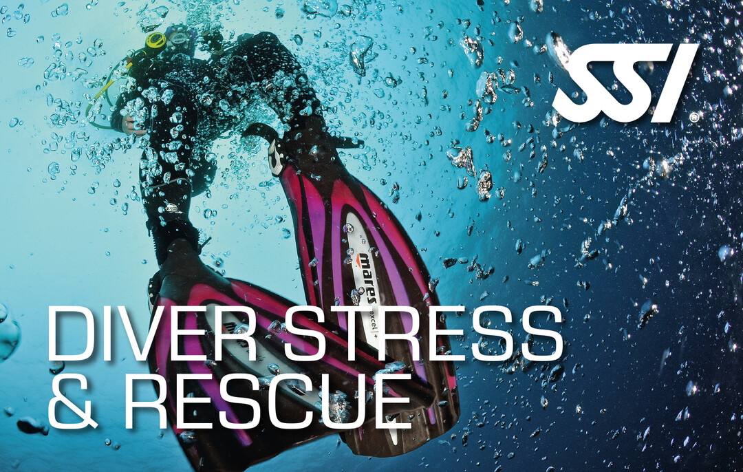 SSI Diver Stress and Rescue Course with Lanzarote Dive Centre