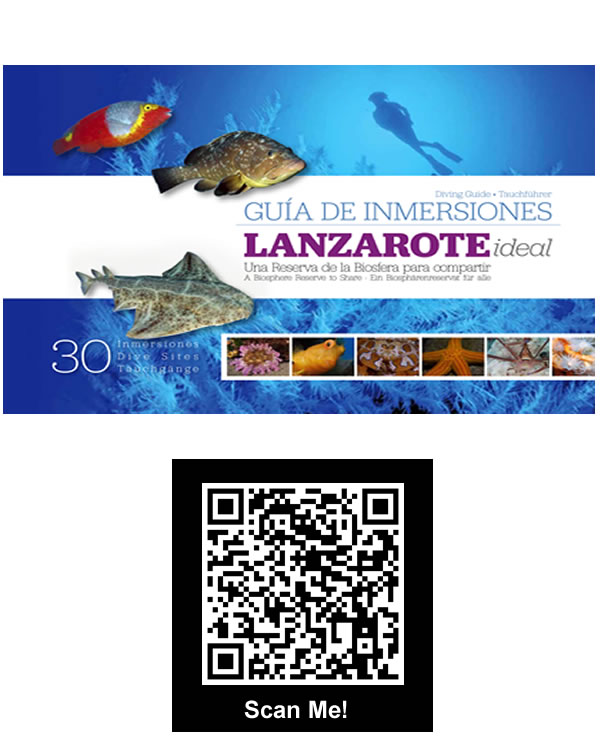 Lanzarote diving guide free download of dive sites