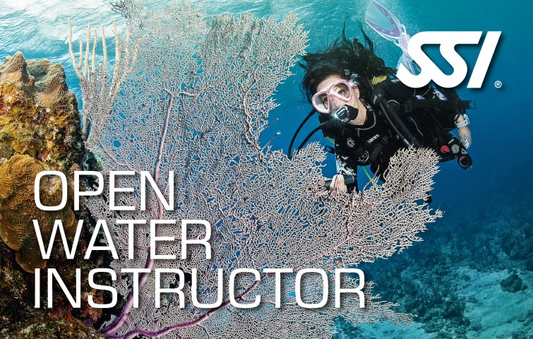 SSI Openwater Instructor with Lanzarote Dive Centre