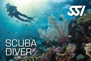 SSI Scuba Diver with Lanzarote Dive Centre
