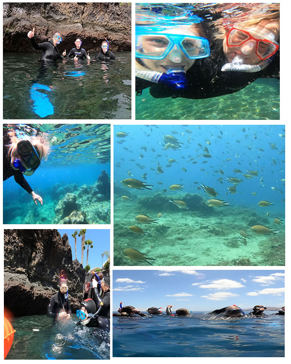 Try a snorkel tour with Lanzarote Dive Centre